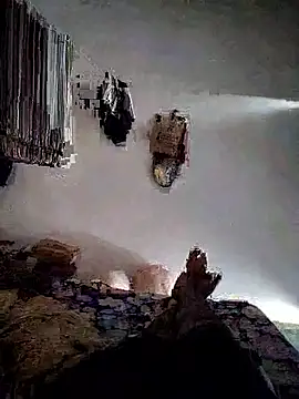 Snapshot of roselover2222 chatting on March 2026 10:48:01 AM roselover2222 online show from March 2026 10:48:01 AM