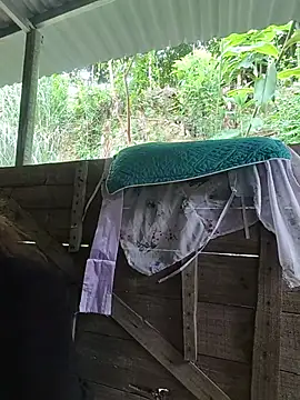 Ruby Lucy online show from July 2026 05:25:02 AM