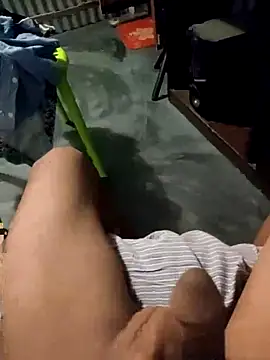 Snapshot of DeshiTiger chatting on April 2026 08:07:02 PM DeshiTiger online show from April 2026 08:07:02 PM