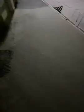 Wildlovee online show from April 2026 08:58:02 PM