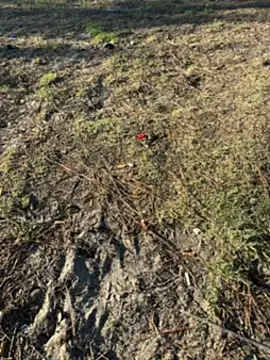 Snapshot of Kadenj92 chatting on April 2026 03:20:02 PM Kadenj92 online show from April 2026 03:20:02 PM