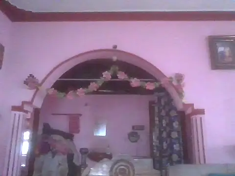 sai9910 online show from July 2026 08:29:01 AM
