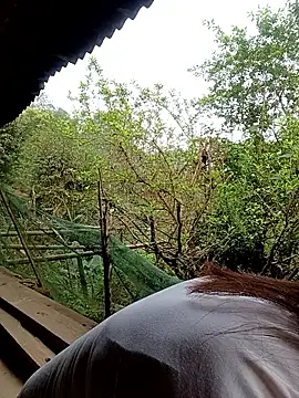 meg 06 online show from March 2026 12:16:01 AM