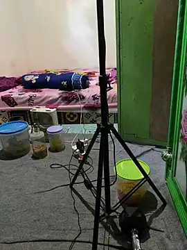 Snapshot of tukangcoli31 chatting on April 2026 12:05:01 AM tukangcoli31 online show from April 2026 12:05:01 AM