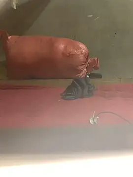 Sapphire-zz online show from April 2026 02:47:02 PM