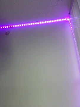 Snapshot of LYAN_DYLAN chatting on April 2026 10:51:01 PM LYAN DYLAN online show from April 2026 10:51:01 PM