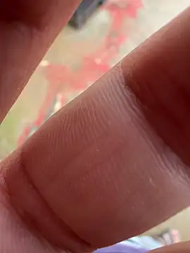 Big 133 online show from April 2026 01:37:02 PM