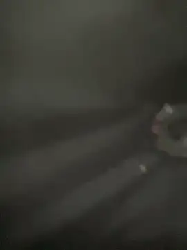 Lola666999 online show from April 2026 02:25:02 PM