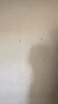 Snapshot of hornysofiya chatting on April 2026 09:37:01 AM hornysofiya online show from April 2026 09:37:01 AM