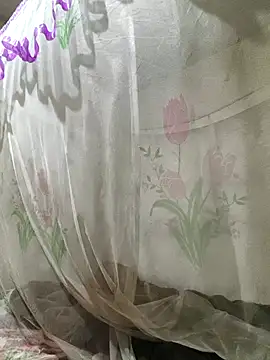 Snapshot of he-se-kin chatting on April 2026 07:45:01 AM he-se-kin online show from April 2026 07:45:01 AM