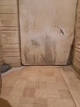 Snapshot of saura545 chatting on April 2026 11:13:02 PM saura545 online show from April 2026 11:13:02 PM