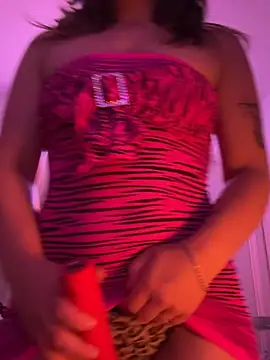 alldogsgotoheaven online show from May 2026 07:02:02 AM