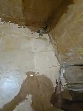 tamilpaiyan354 online show from April 2026 03:20:01 PM