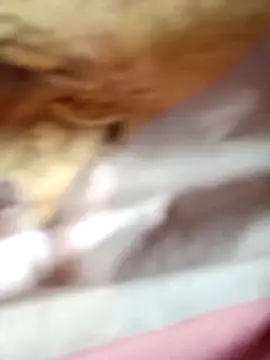 Snapshot of -Bianmi- chatting on April 2026 02:20:01 AM -Bianmi- online show from April 2026 02:20:01 AM