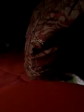 Snapshot of -Bianmi- chatting on April 2026 11:16:01 PM -Bianmi- online show from April 2026 11:16:01 PM