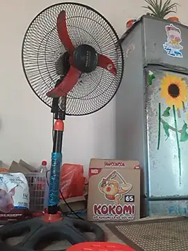 Snapshot of -Bianmi- chatting on April 2026 06:52:01 AM -Bianmi- online show from April 2026 06:52:01 AM