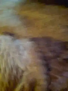 chubfatcock online show from July 2026 10:22:02 AM