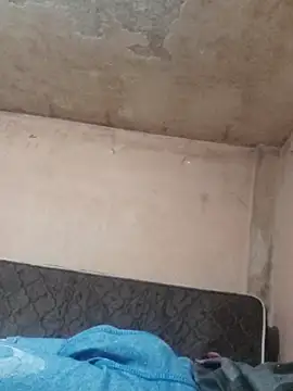 Alcon347 online show from April 2026 01:16:01 AM