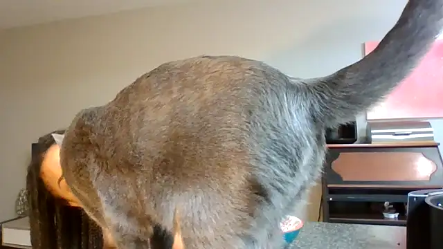 madzbailey online show from April 2026 12:25:01 PM