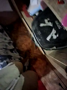 Matheus Enrique online show from April 2026 03:41:02 PM