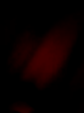 Eivar003 online show from April 2026 04:54:01 AM