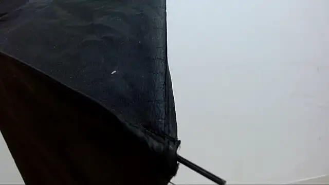 Snapshot of alejandrofoxnoir18 chatting on April 2026 05:17:01 PM alejandrofoxnoir18 online show from April 2026 05:17:01 PM