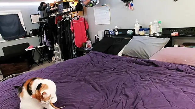 PolyCircus online show from April 2026 04:06:02 AM