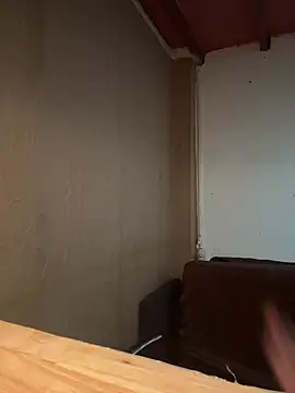 Snapshot of minibro1234vip chatting on April 2026 01:03:01 AM minibro1234vip online show from April 2026 01:03:01 AM