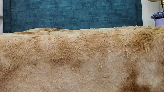 Snapshot of IsadoraVex chatting on April 2026 12:44:02 PM IsadoraVex online show from April 2026 12:44:02 PM