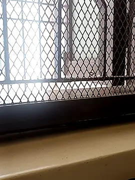 Snapshot of billboyhoney chatting on April 2026 08:36:02 AM billboyhoney online show from April 2026 08:36:02 AM