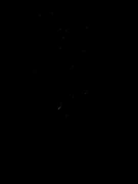 Snapshot of Rocky_pune chatting on April 2026 01:55:02 PM Rocky pune online show from April 2026 01:55:02 PM