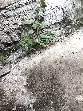 Snapshot of Rocky_pune chatting on April 2026 03:40:02 AM Rocky pune online show from April 2026 03:40:02 AM