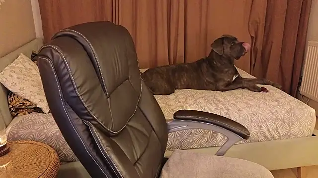 Sharon Red online show from December 2024 06:21:01 PM