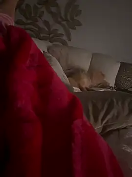 lajokerx online show from April 2026 09:59:02 PM