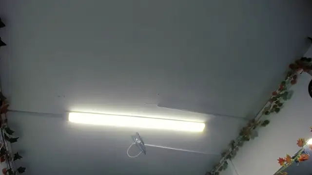 LilaVelvet online show from May 2026 06:56:02 PM