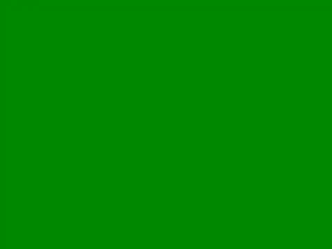 vvvan2026 online show from May 2026 04:35:02 PM