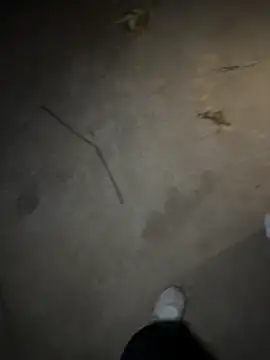   I like    online show from April 2026 02:45:02 PM