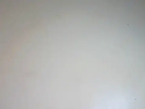 Sexydoll36 online show from August 2026 10:10:01 AM