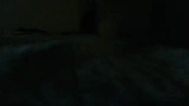 LilDaddyX online show from June 2026 09:22:02 AM