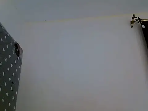 zelyp online show from August 2026 12:32:02 PM