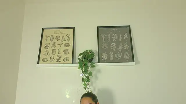 ShelyEvans   online show from July 2026 01:23:02 AM