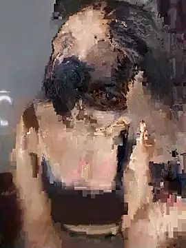 hottyplak online show from June 2026 08:47:01 PM