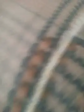 Snapshot of Prettiebri chatting on July 2026 02:08:02 PM Prettiebri online show from July 2026 02:08:02 PM