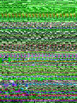 Niobe klart online show from July 2026 06:19:02 AM