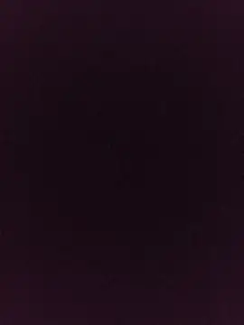 noirlynnexo online show from August 2026 08:44:02 PM