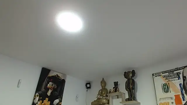 Novaluxee online show from July 2026 11:18:02 PM