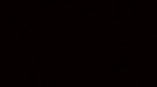 Snapshot of Blackswinger chatting on March 2025 09:51:01 AM Blackswinger online show from March 2025 09:51:01 AM