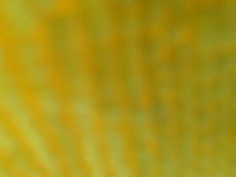 OGXXXOG online show from March 2025 07:17:01 PM