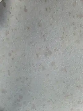 415cali925 online show from March 2026 06:55:01 PM