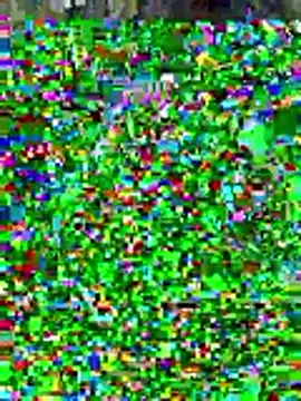 Snapshot of sissyvee chatting on January 2026 05:01:01 AM sissyvee online show from January 2026 05:01:01 AM